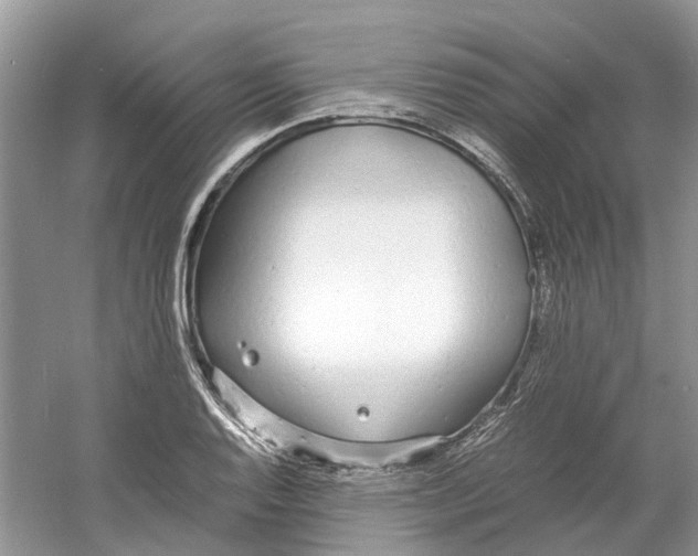 X0000060771128200512011604