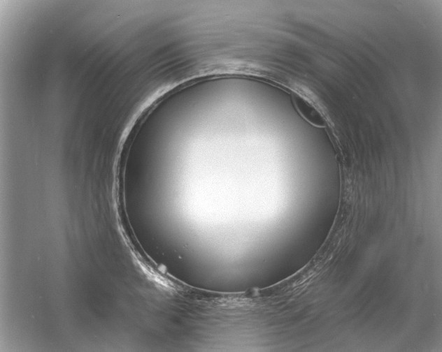 X0000060771136200512011605