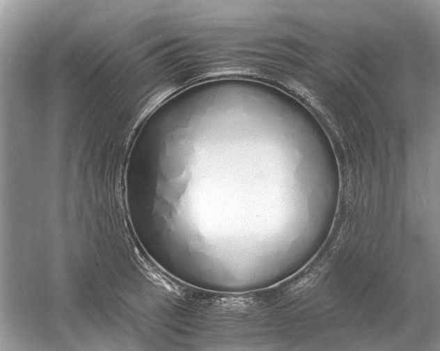 X0000060771137200512011605