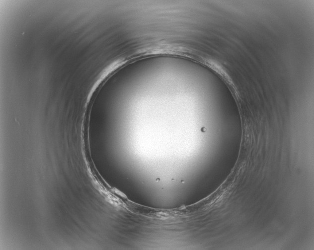 X0000060771138200512011605