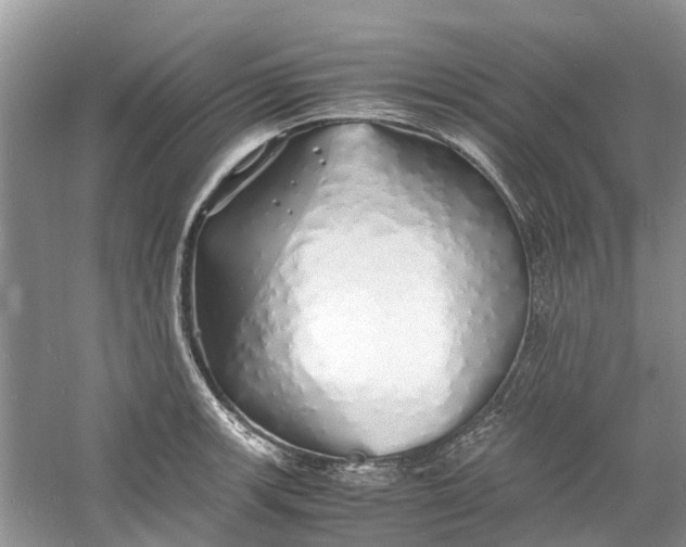 X0000060771139200512011605