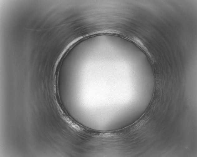 X0000060771140200512011605