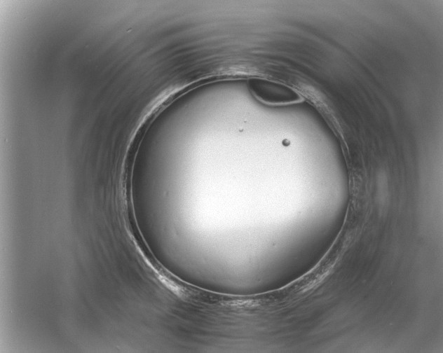 X0000060771141200512011605