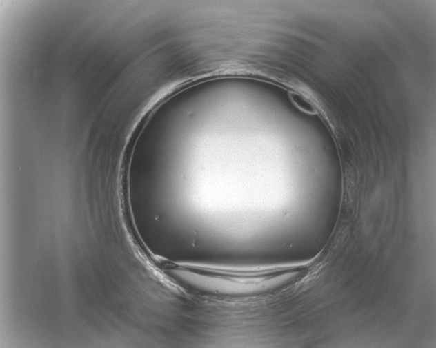 X0000060771142200512011605