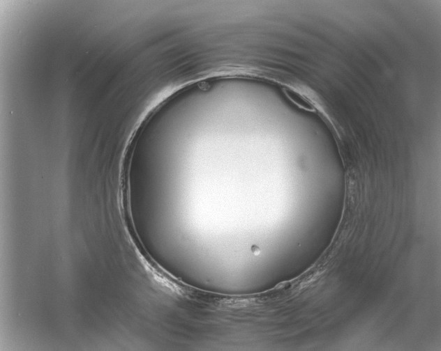 X0000060771143200512011605