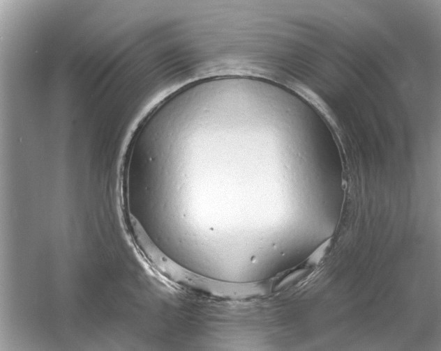 X0000060771144200512011605