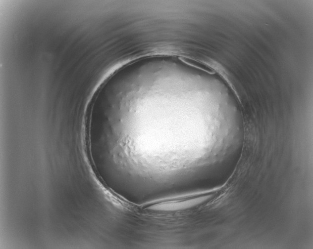 X0000060771147200512011605