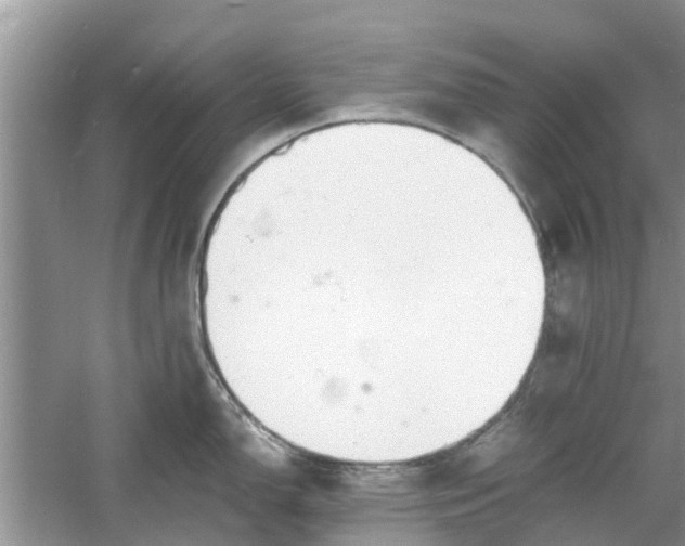 X0000060771150200512011605