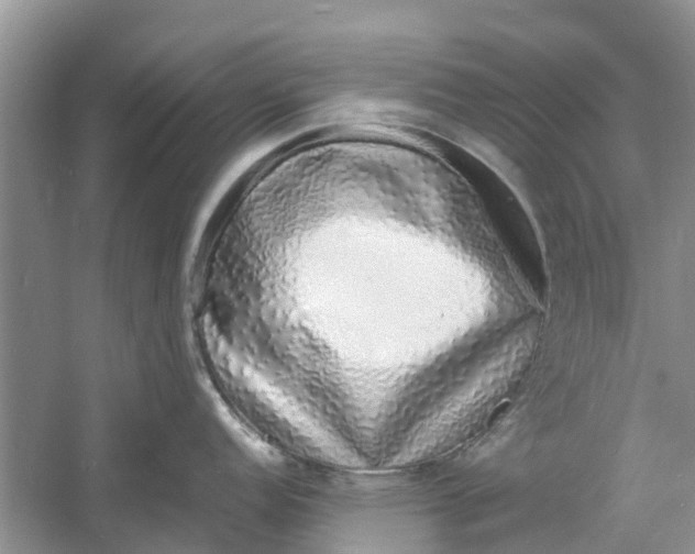 X0000060771152200512011605