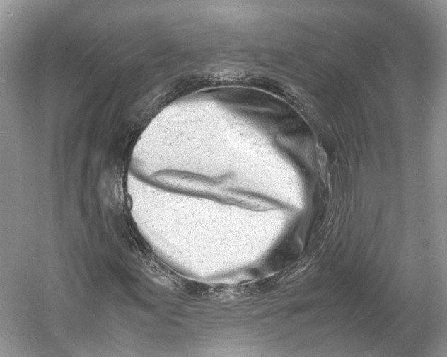 X0000060771155200512011604