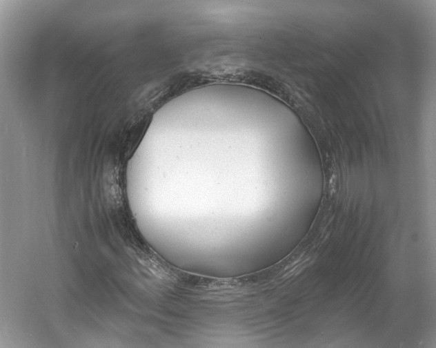 X0000060771156200512011604