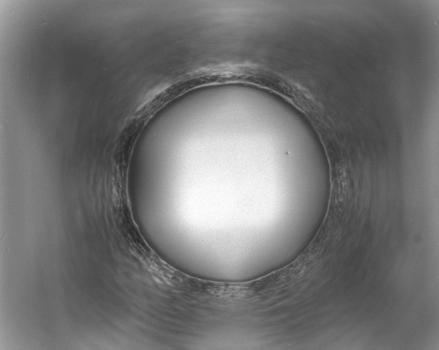 X0000060771158200512011604