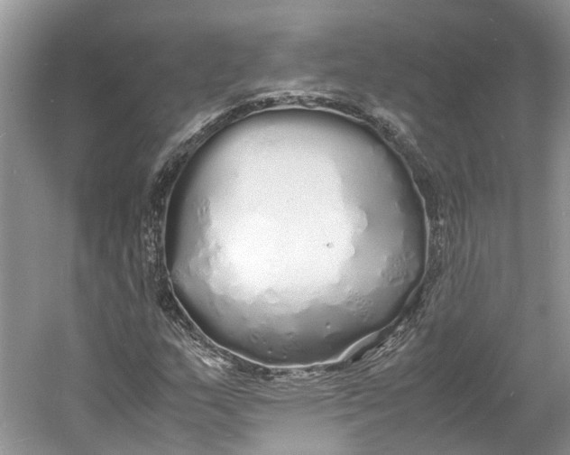 X0000060771159200512011604