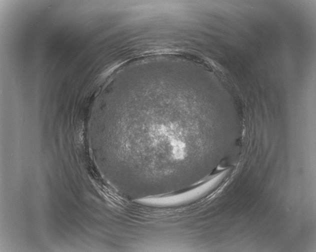 X0000060771161200512011604