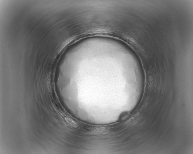 X0000060771162200512011604