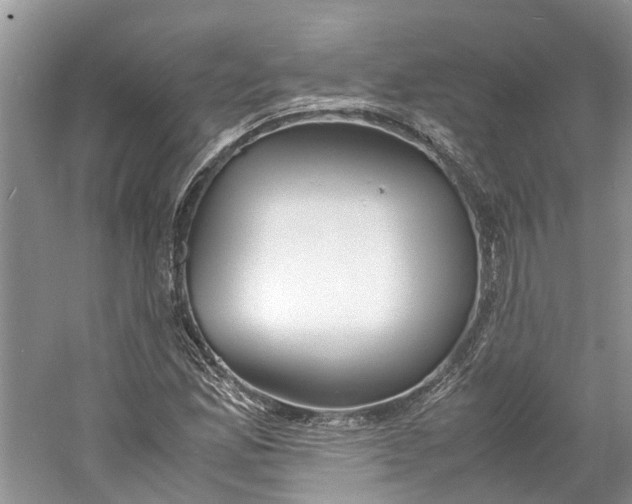 X0000060771165200512011604