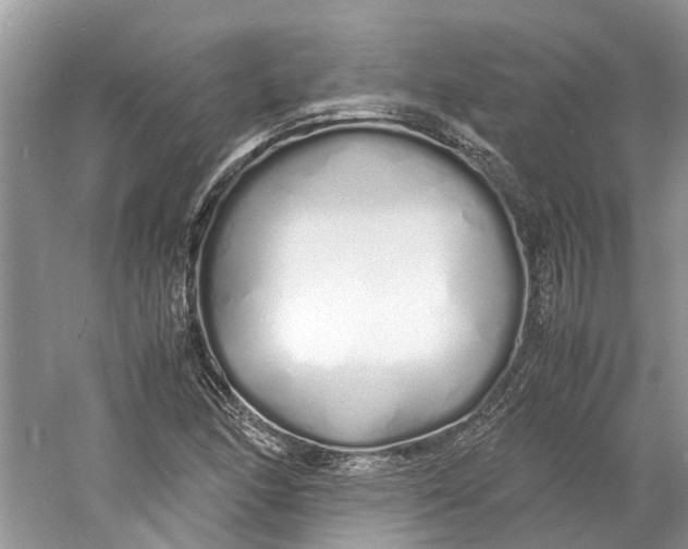 X0000060771166200512011604