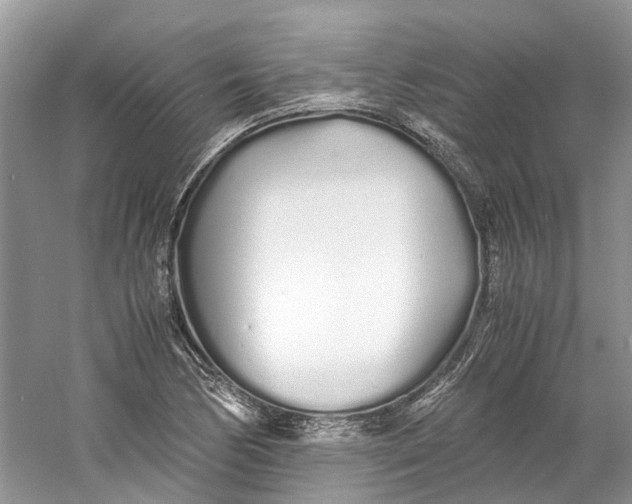 X0000060771170200512011604