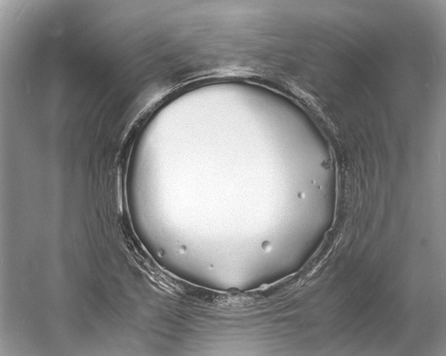 X0000060771171200512011604