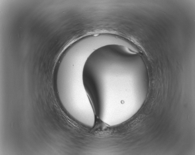 X0000060771173200512011604