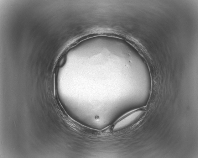 X0000060771175200512011604