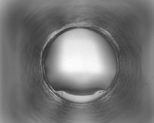 X0000060771176200512011604