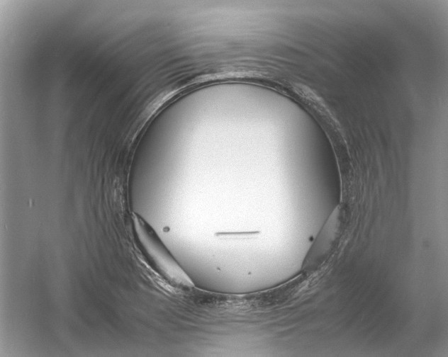 X0000060771177200512011604