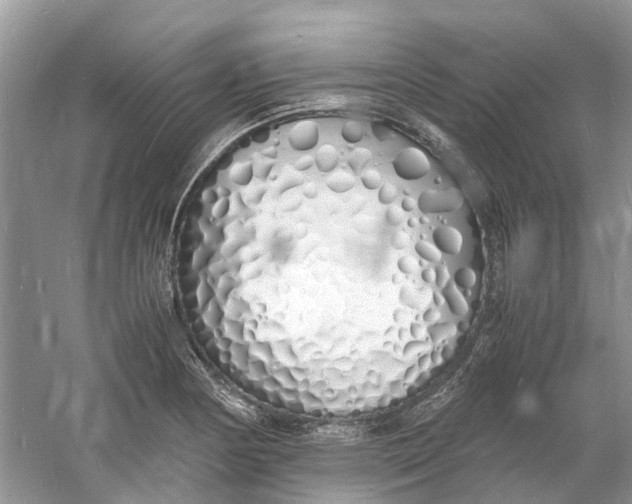 X0000060771178200512011604