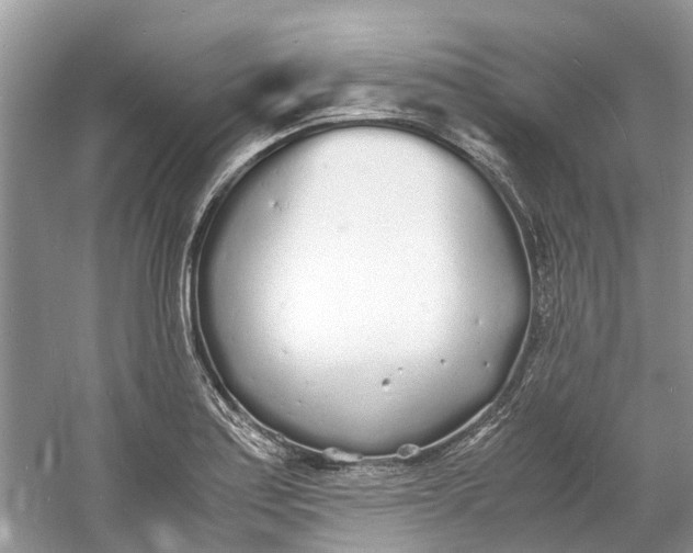 X0000060771179200512011603