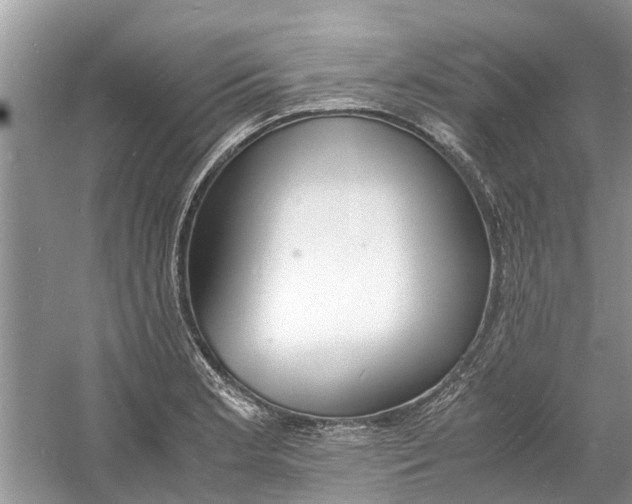 X0000060771181200512011603