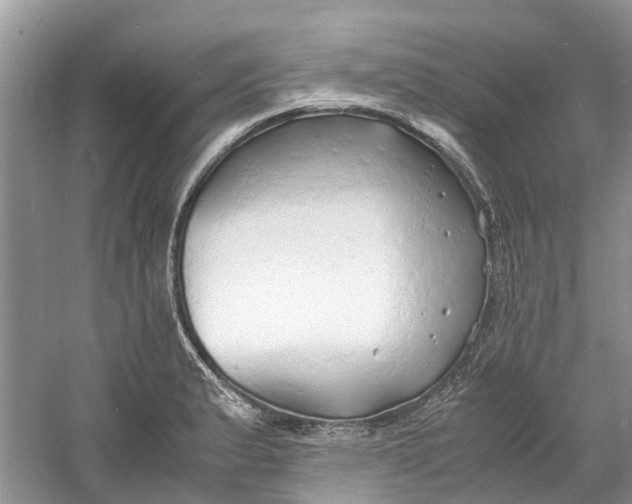 X0000060771183200512011603