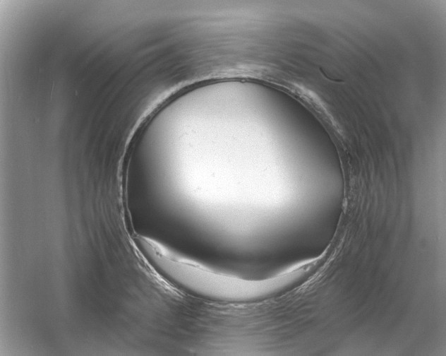 X0000060771184200512011603