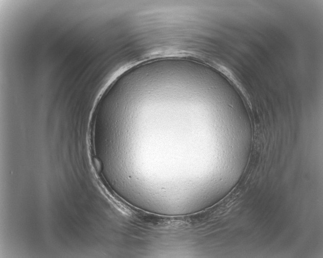 X0000060771187200512011603