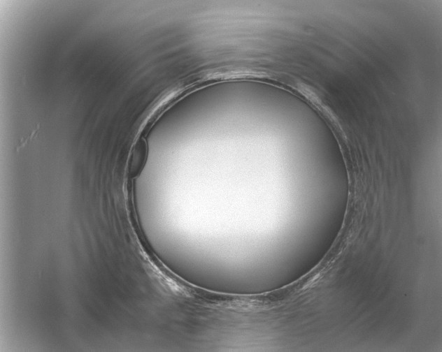 X0000060771189200512011603