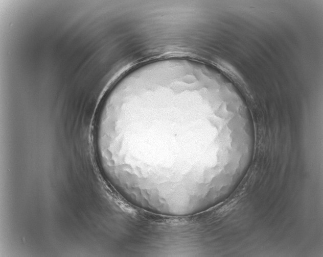 X0000060771190200512011603