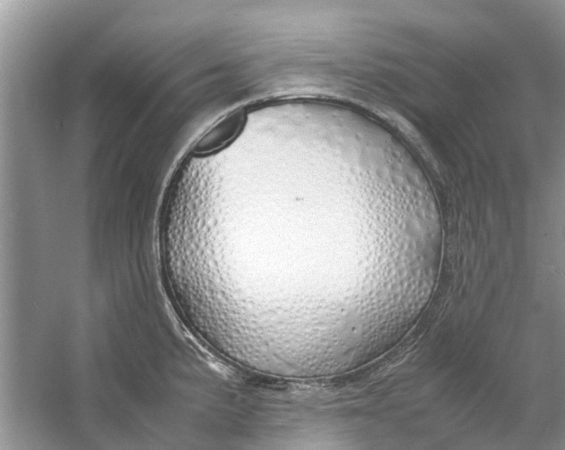 X0000060771191200512011603