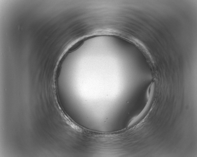 X0000060771192200512011603