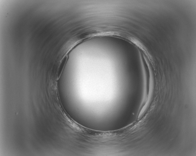 X0000060771193200512011603