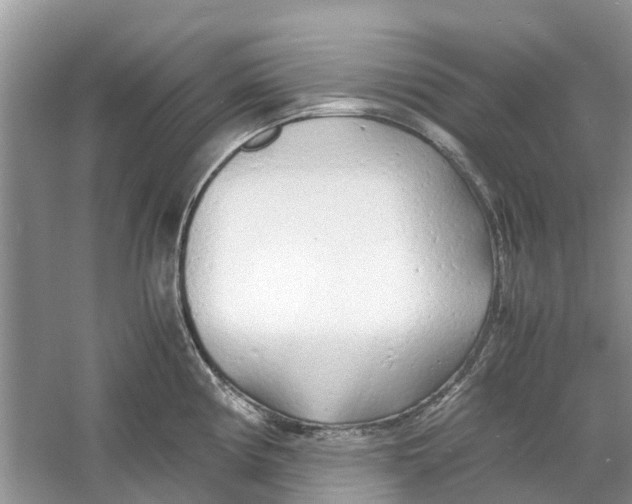 X0000060771194200512011603