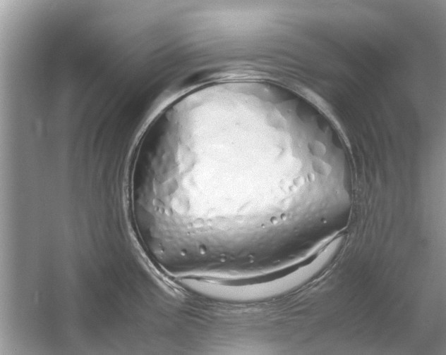 X0000060771195200512011603