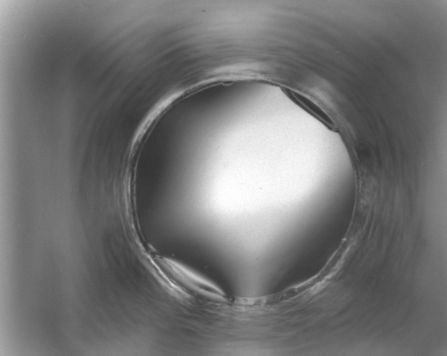 X0000060771196200512011603