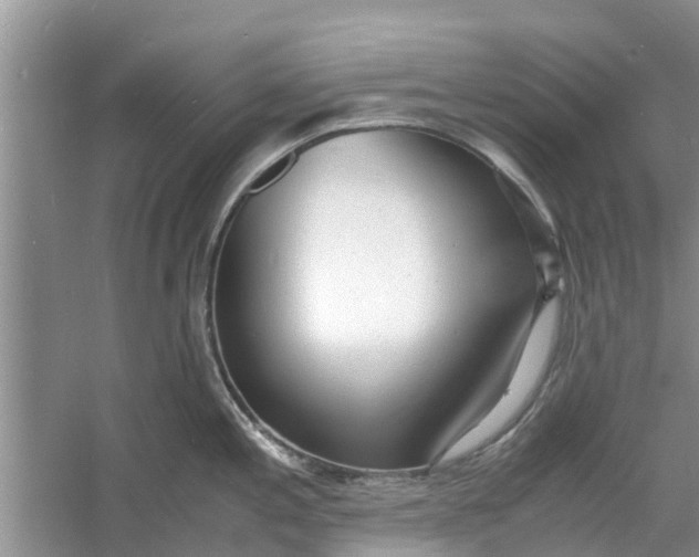 X0000060771197200512011603