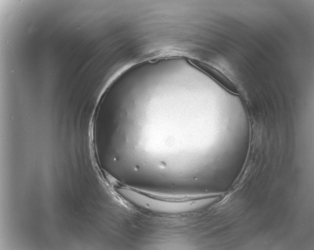 X0000060771198200512011603