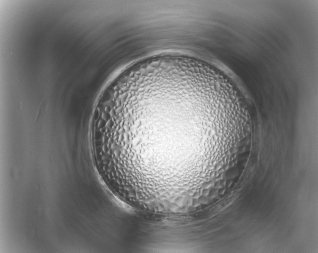 X0000060771199200512011603