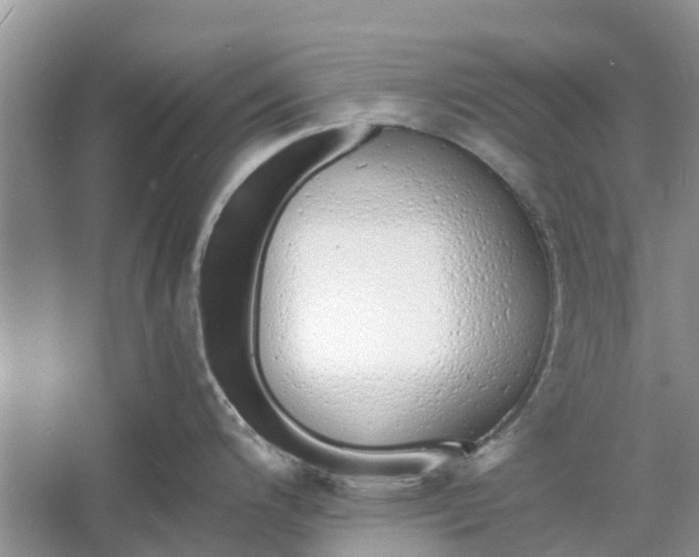 X0000060771200200512011603