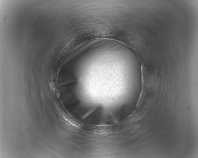 X0000060771202200512011602