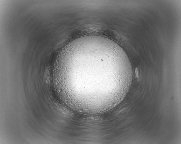 X0000060771203200512011602