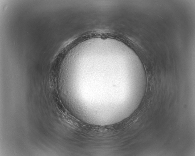 X0000060771207200512011602