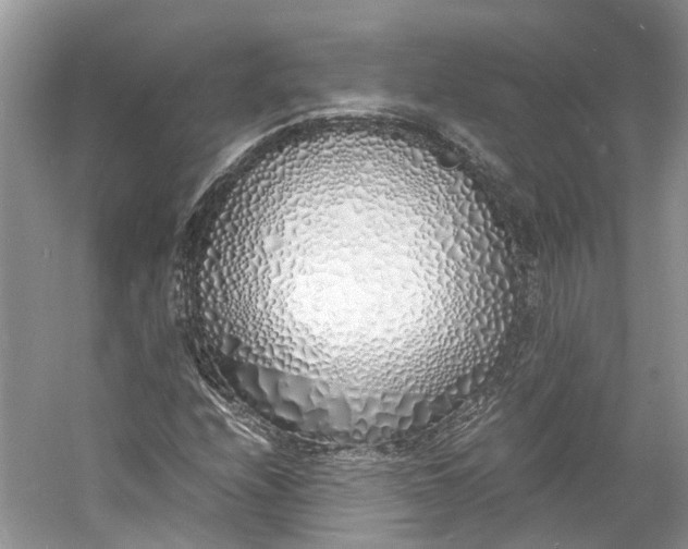 X0000060771208200512011602