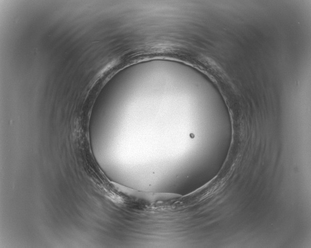 X0000060771210200512011602